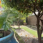 Jardin *