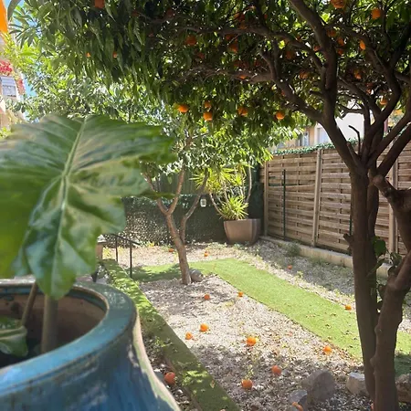 Jardin *